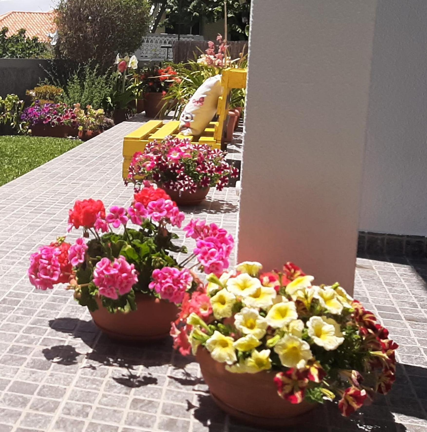 Casa Ventura Arco da Calheta (Madeira) Exterior foto